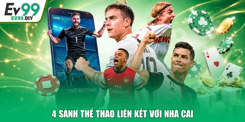 4 sảnh thể thao liên kết với nhà cái