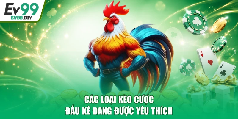 Các loại kèo cược đấu kê đang được yêu thích