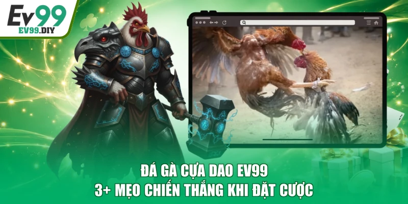 Đá Gà Cựa Dao EV99 | 3+ Mẹo Chiến Thắng Khi Đặt Cược