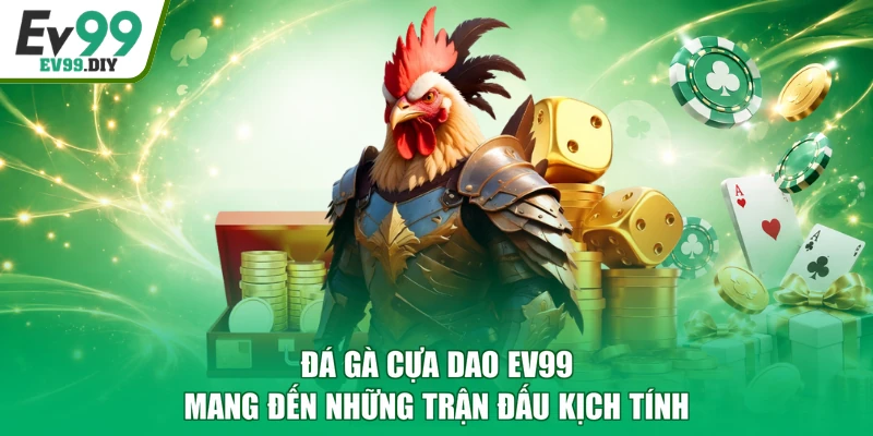 Đá gà cựa dao EV99 mang đến những trận đấu kịch tính