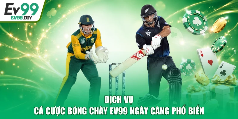 Dịch vụ cá cược bóng chày EV99 ngày càng phổ biến
