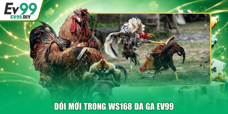 Đổi mới trong WS168 đá gà EV99
