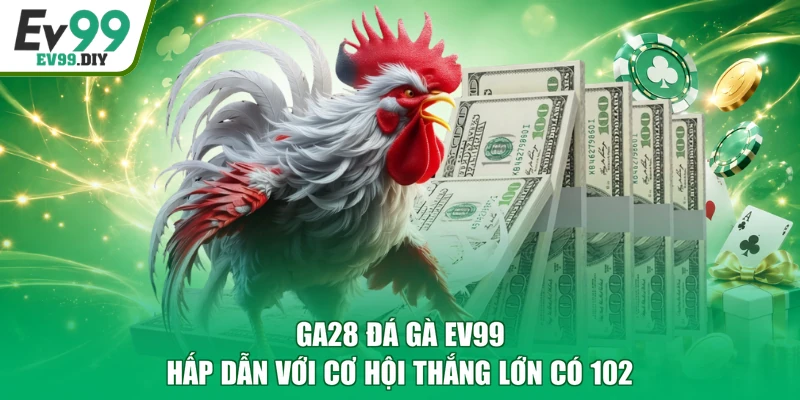 GA28 Đá Gà EV99 Hấp Dẫn Với Cơ Hội Thắng Lớn Có 102