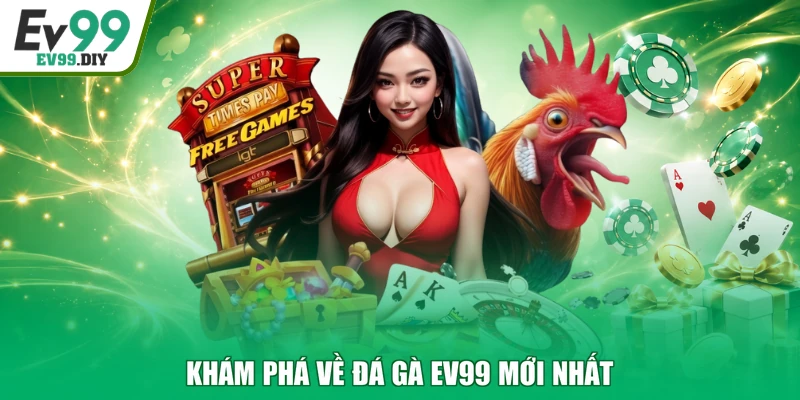 Khám phá về đá gà EV99 mới nhất