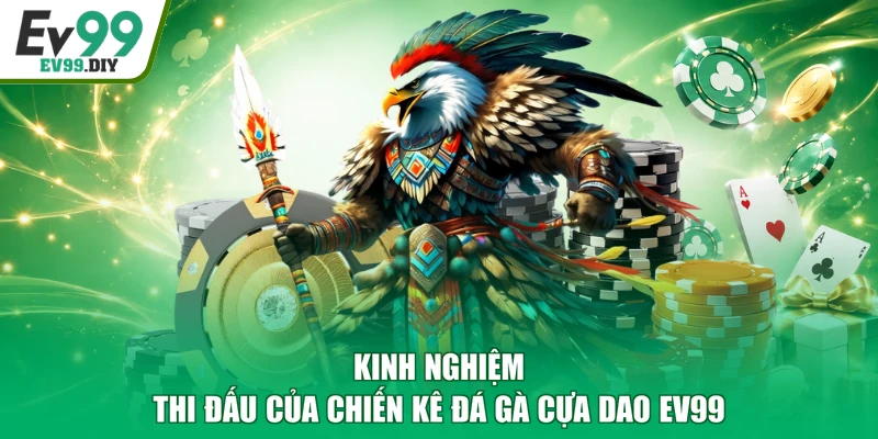Kinh nghiệm thi đấu của chiến kê đá gà cựa dao EV99