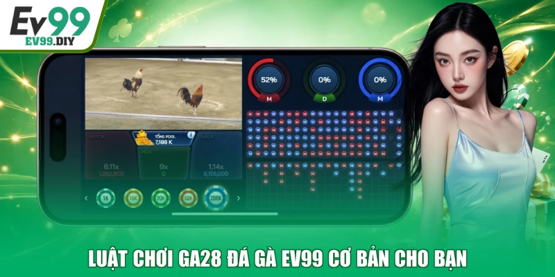 Luật chơi GA28 đá gà EV99 cơ bản cho bạn