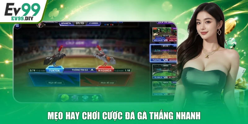 Mẹo hay chơi cược đá gà thắng nhanh