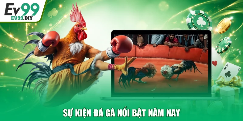 Sự kiện đá gà nổi bật năm nay