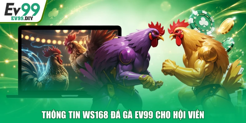 Thông tin WS168 đá gà EV99 cho hội viên