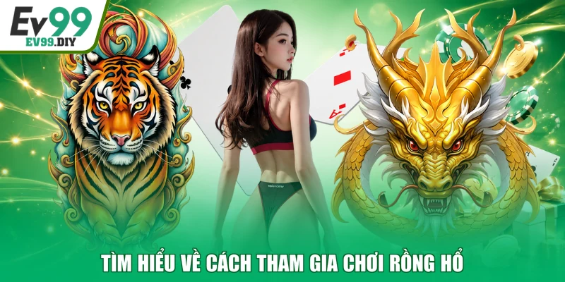 Tìm hiểu về cách tham gia chơi Rồng Hổ
